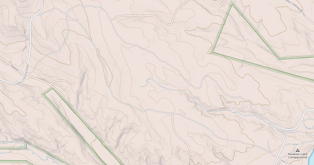 Map preview of CUSTER CROSSING BR 1A