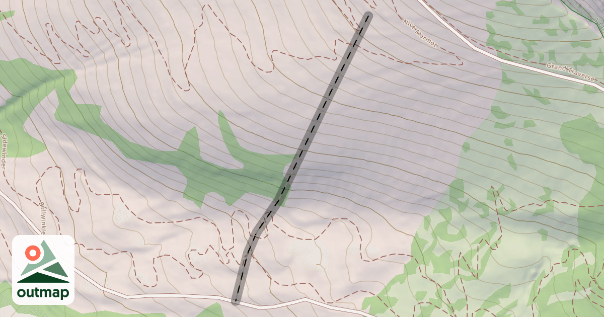 Map of Lightning Trees