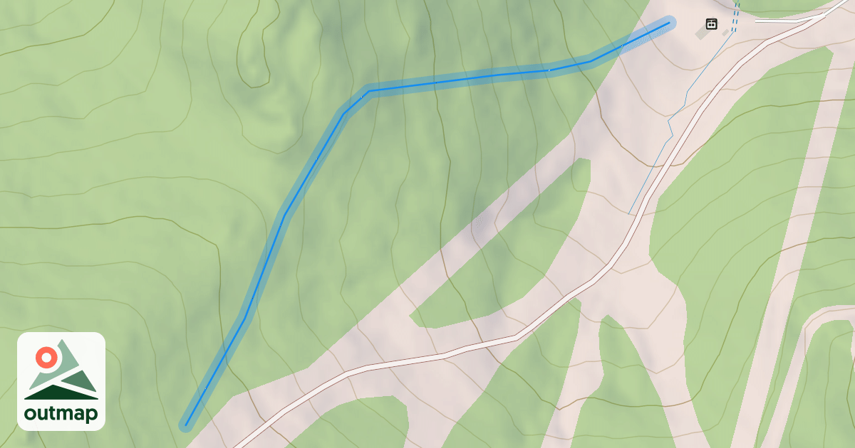 Map of The Pines