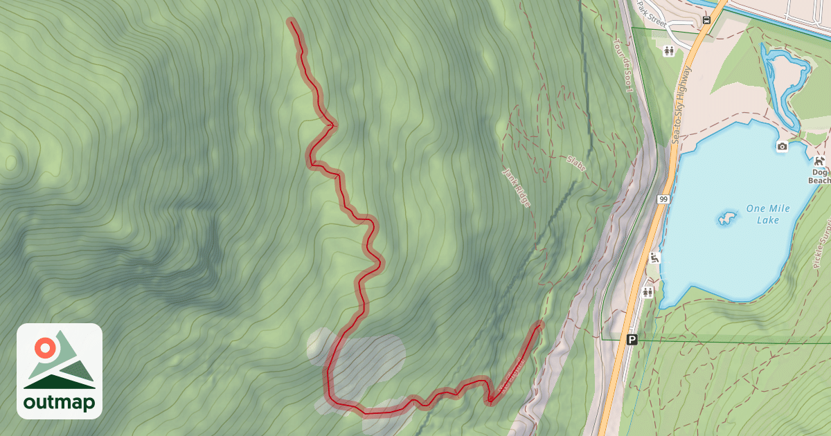 Map of No Signal