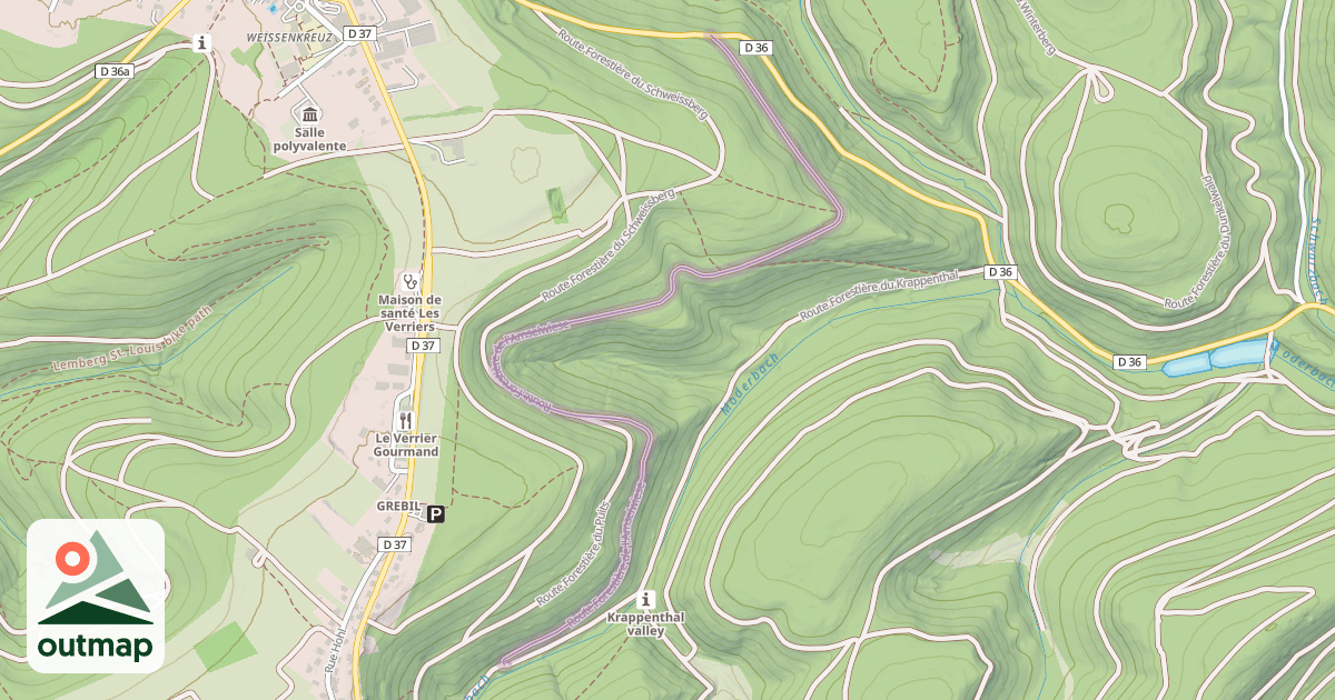 Map of Route Forestière de l'Amselwiese