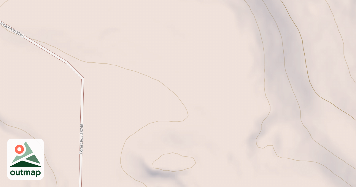 Map of USFS National Forest System Roads {1E24BF54-D28E-4495-A8AB-13D273796A6E}
