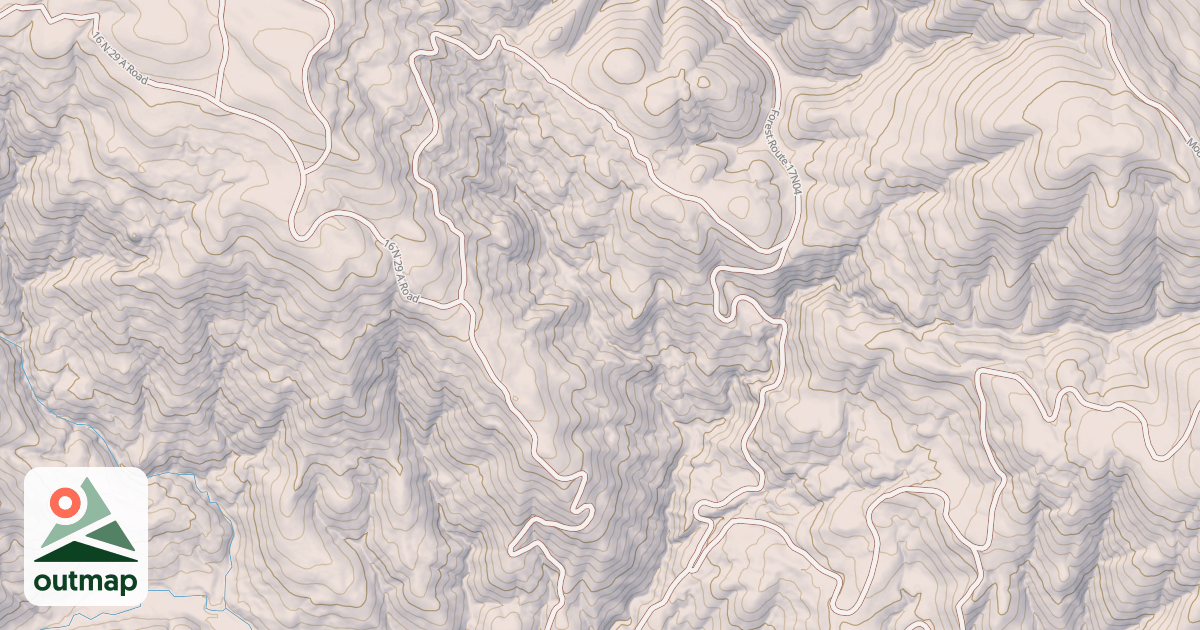 Map of LIVE OAK HOLLOW