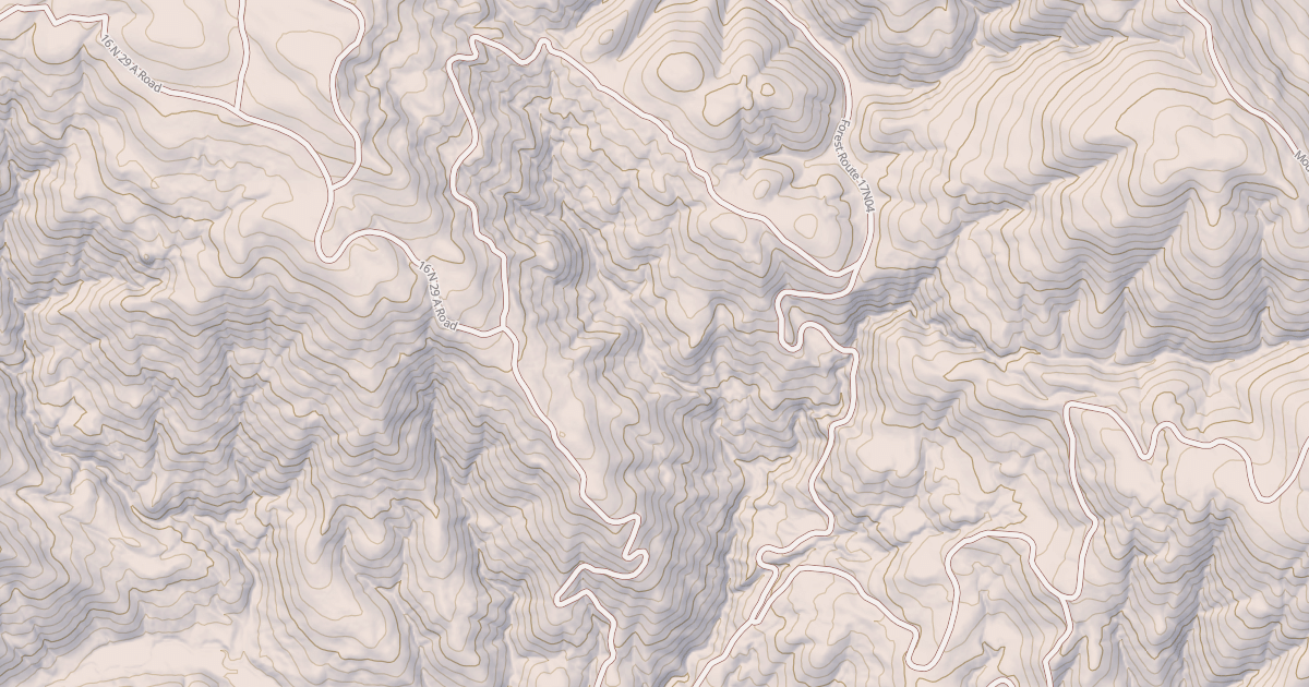 Map preview of LIVE OAK HOLLOW