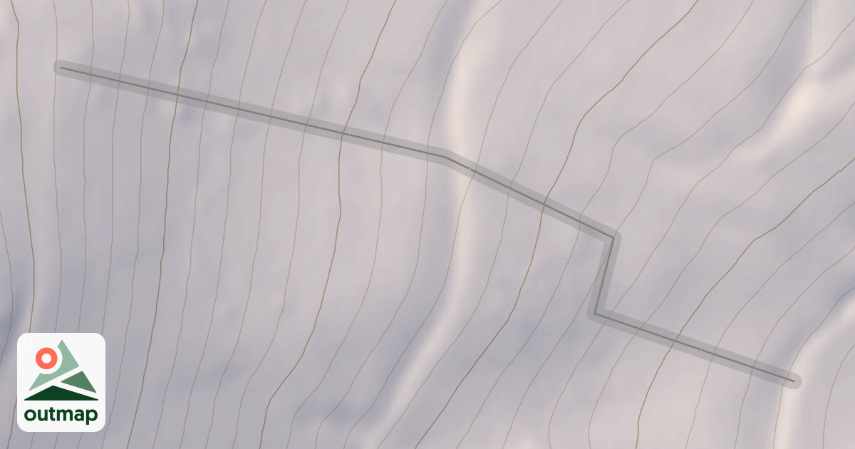 Map of Bandito Trees