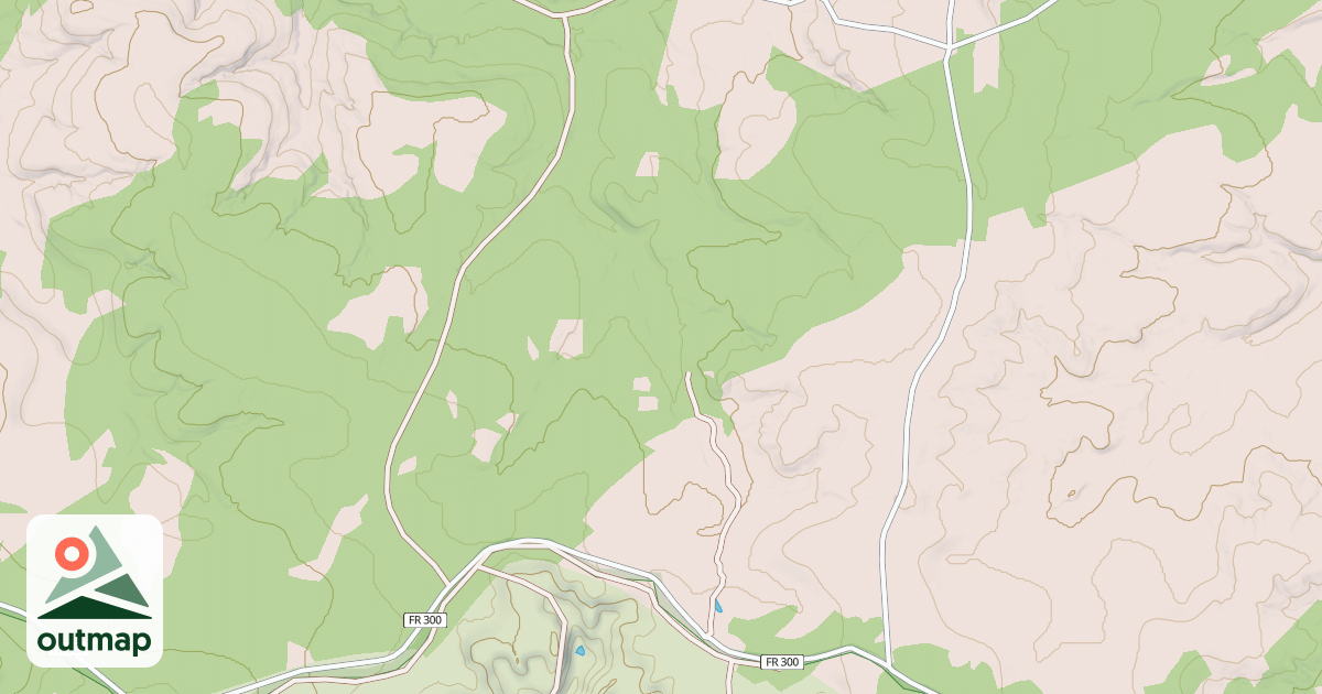 Map of USFS National Forest System Roads {7B7E6A9F-A0D7-4B0D-81F8-640F329863AB}