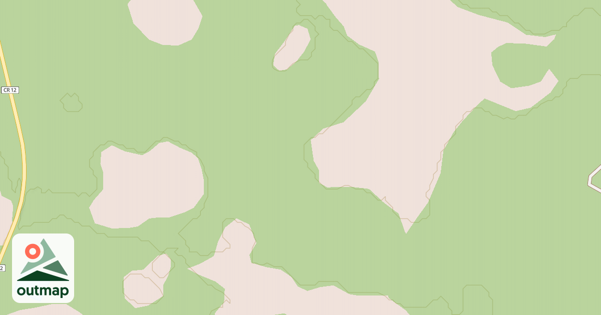 Map of USFS National Forest System Roads {4CD8137A-CA22-4778-932D-C31B76E1B6EA}