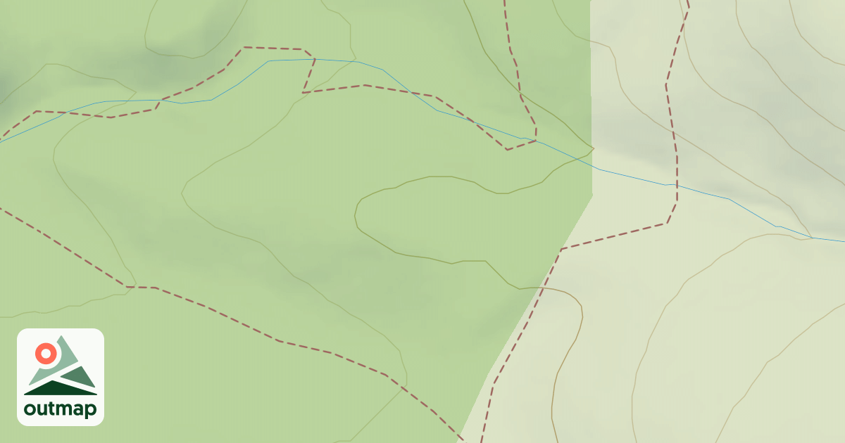 Map of Single D
