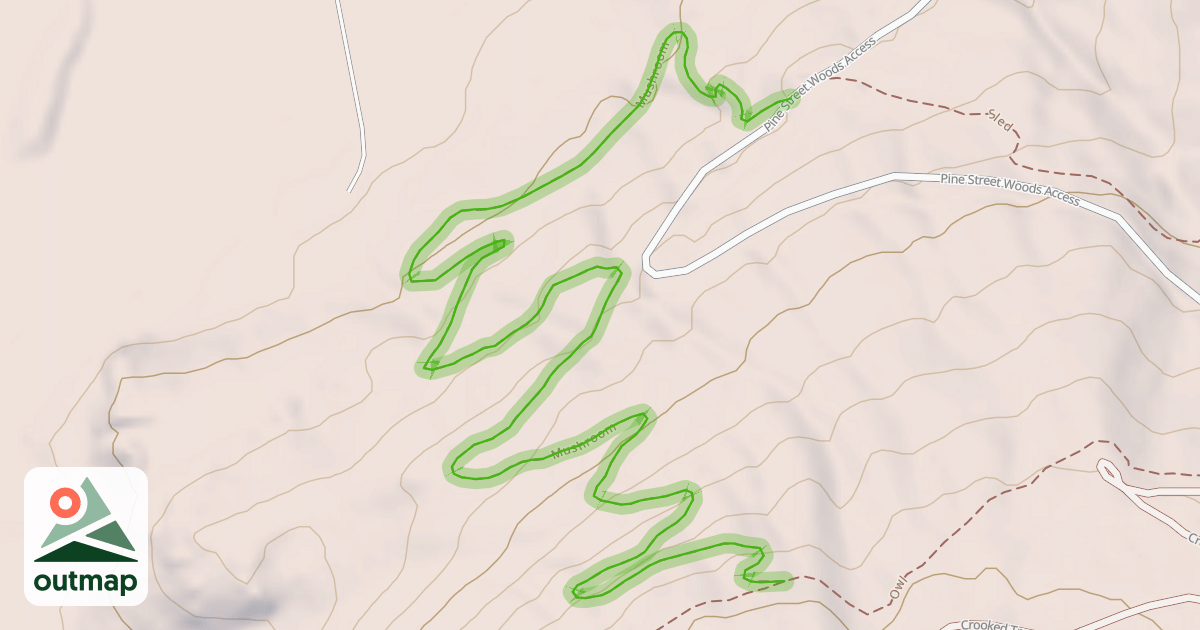 Map of Mushroom
