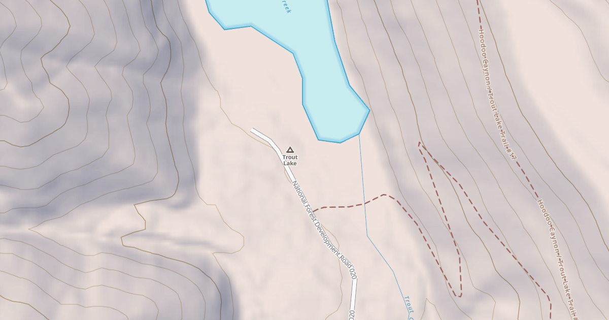 Map preview of TROUT LAKE BOAT LAUNCH