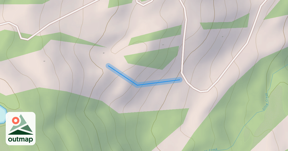 Map of Ms. Magoo