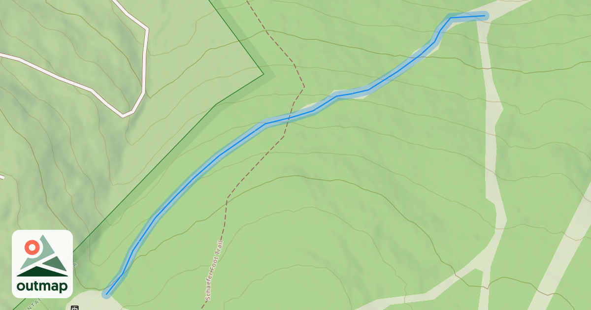 Map of Wood Out
