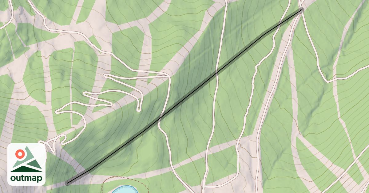 Map of Tower 19 Trees
