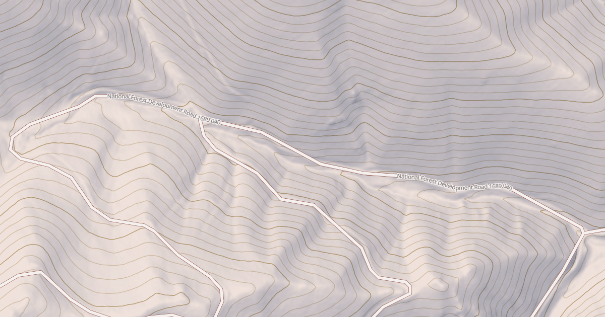 Map preview of USFS National Forest System Roads {802054AD-63EF-4EEC-B98A-7CAC05F52D12}