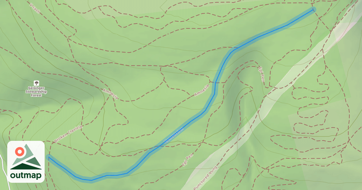 Map of Concussion