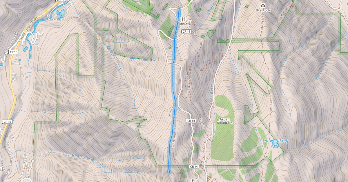 Map preview of Ruthie's Run