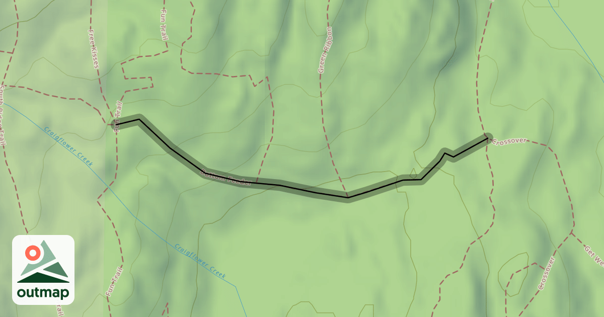 Map of Bottom Feeder