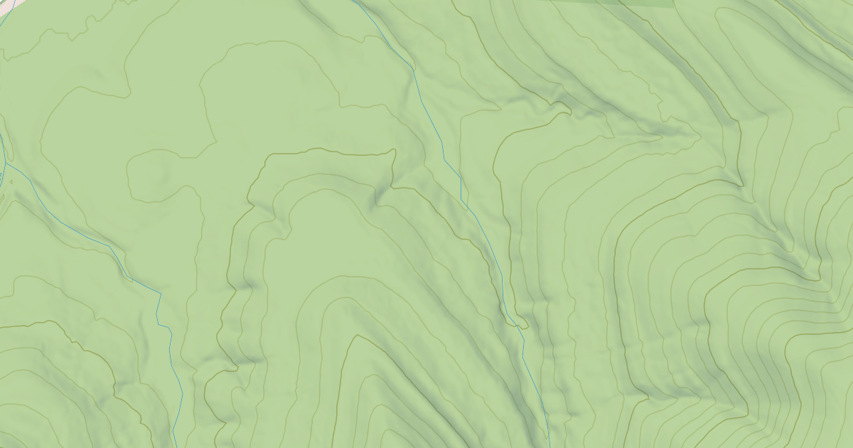 Map preview of USFS National Forest System Roads {C8345608-741A-4F3D-A51A-0DAA5493C4D3}