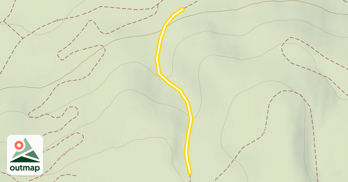 Map of Bear