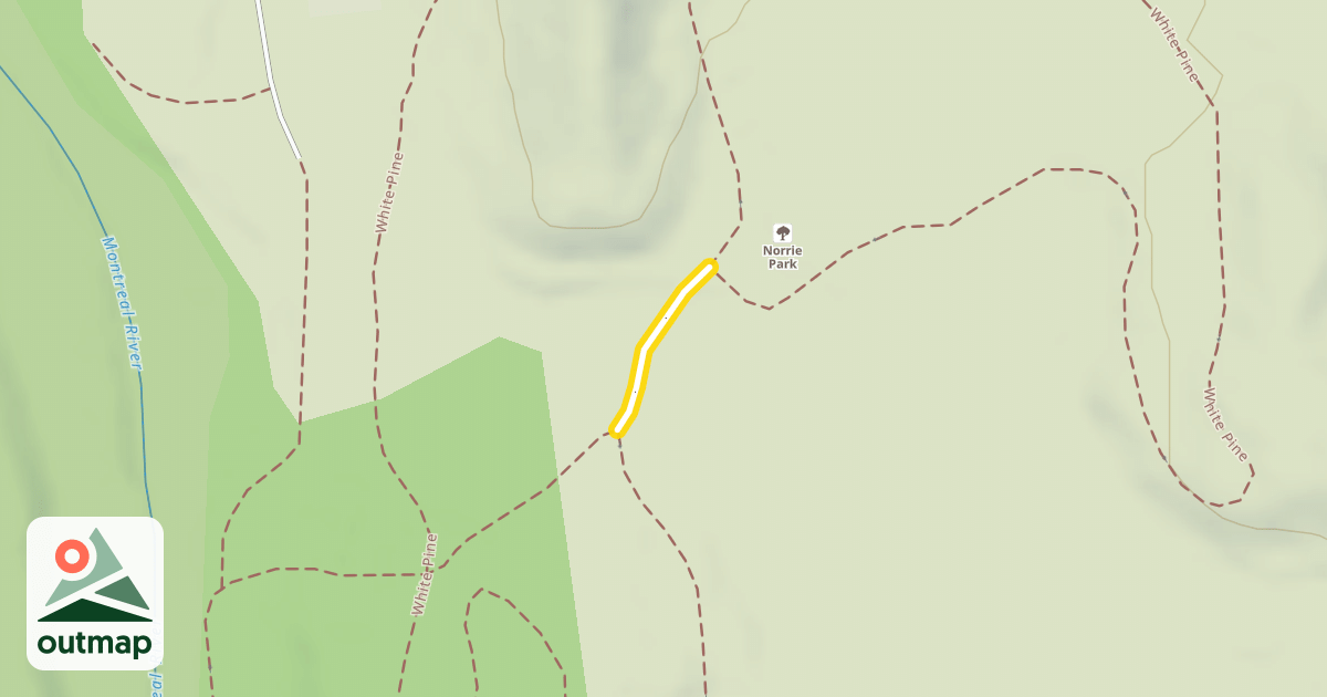 Map of White Pine