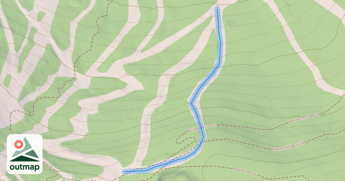 Map of Wildcat