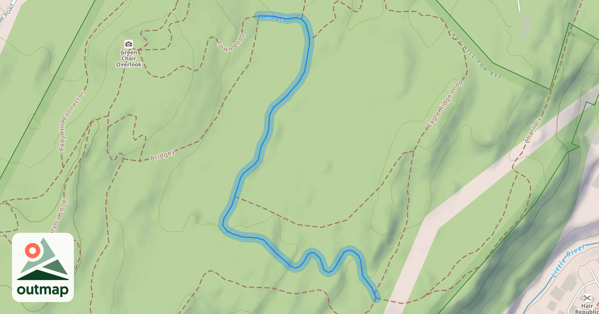 Map of Bridgey