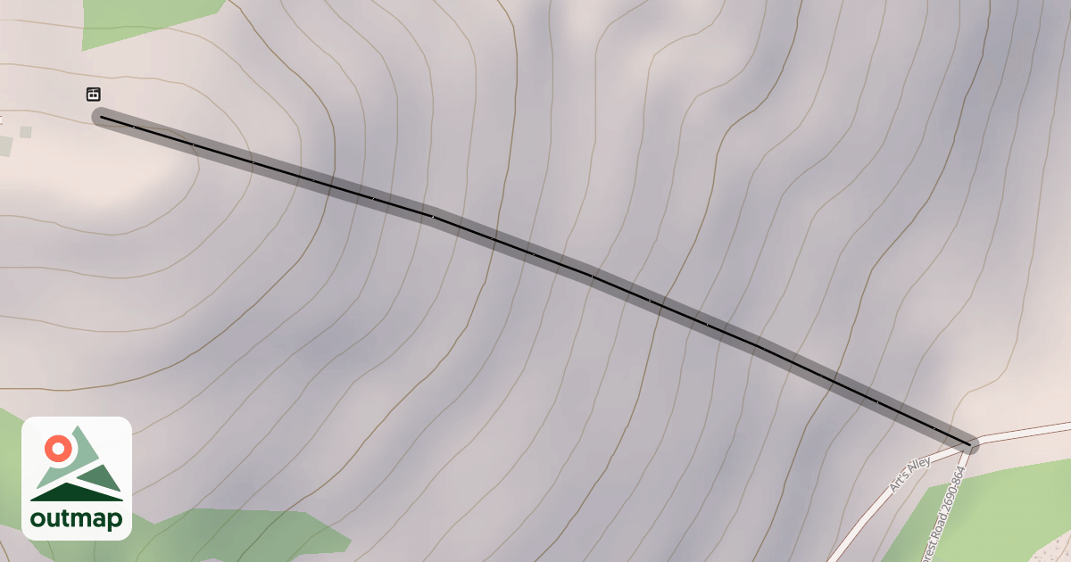 Map of Face