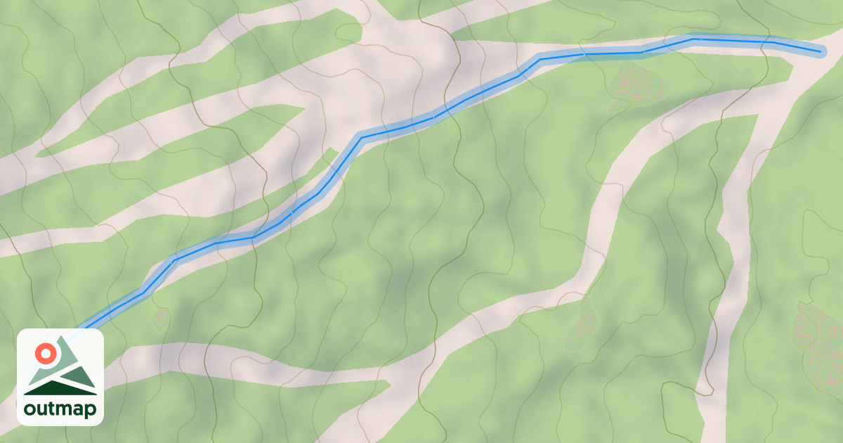 Map of Pine Cone