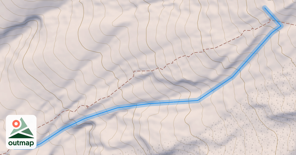 Map of Vertigo