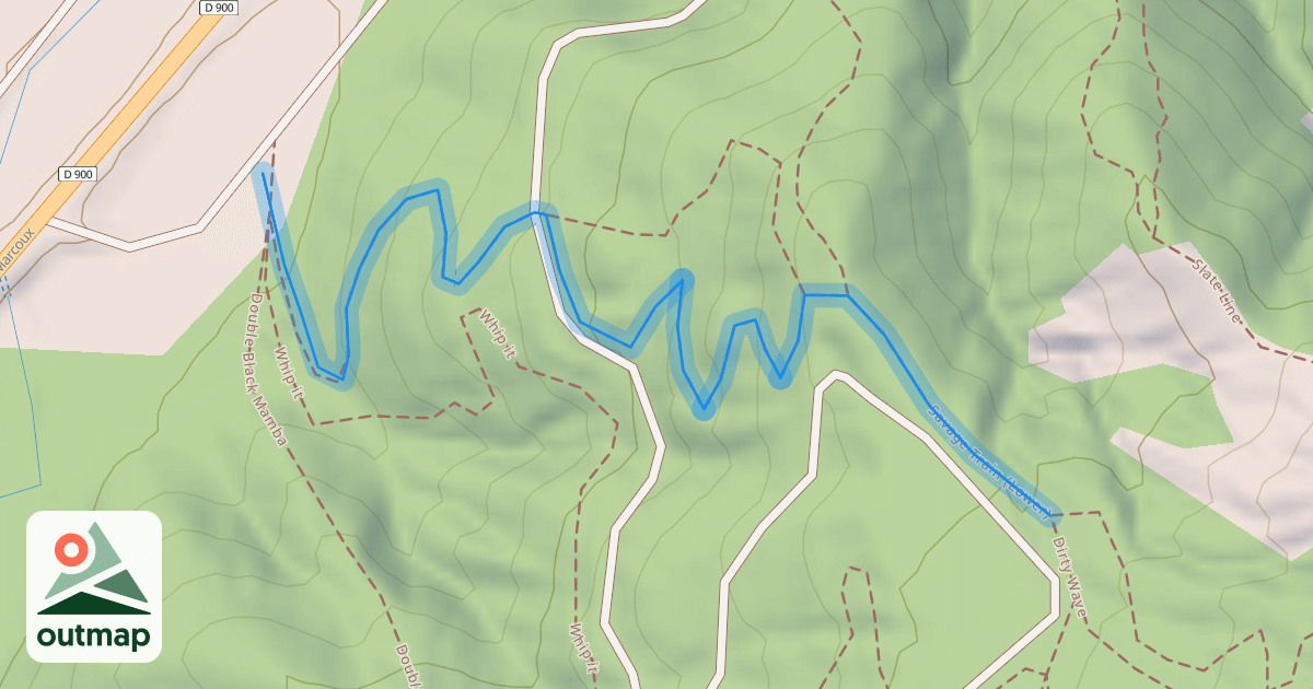 Map of Savage Train (Lower)