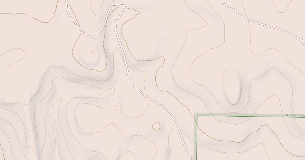 Map preview of USFS Motor Vehicle Use Map Roads {5F236E66-867D-4DDF-8662-2EF2CD6C2B3F}