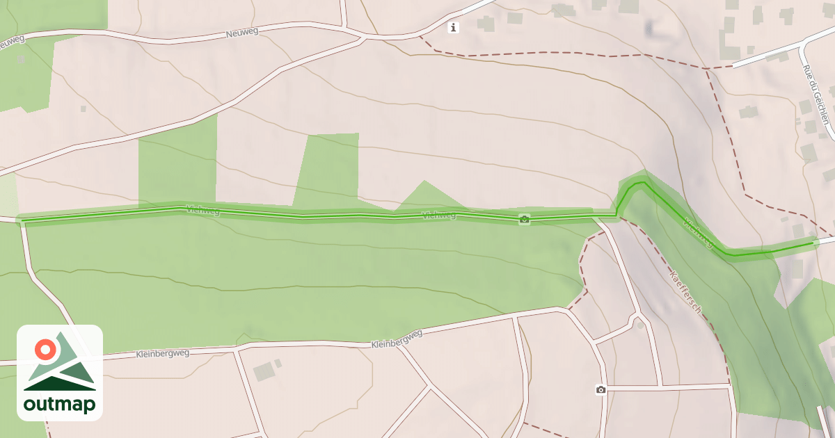 Map of Viehweg
