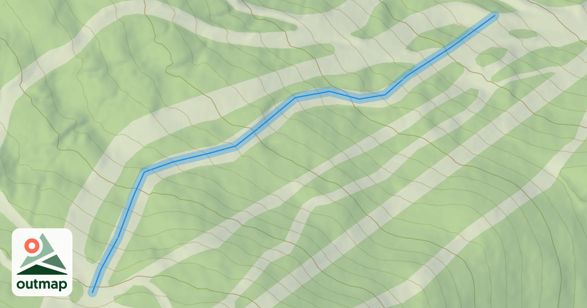 Map of Which Way
