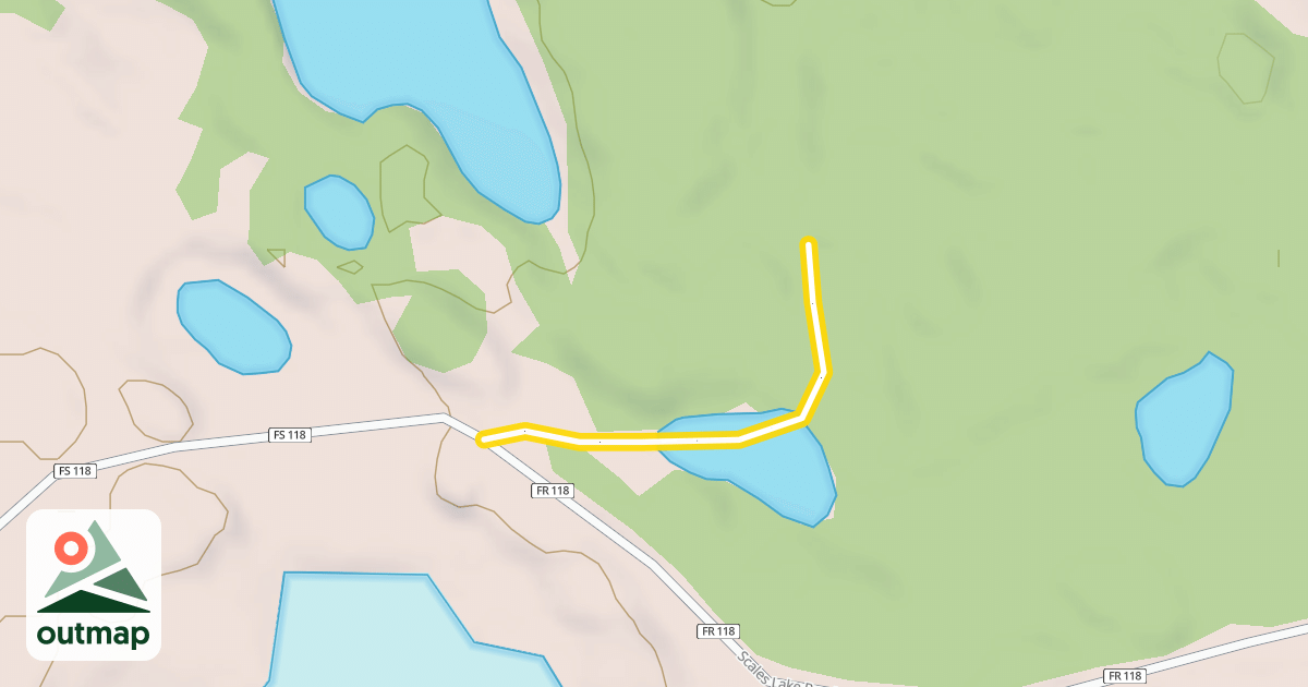 Map of Lions
