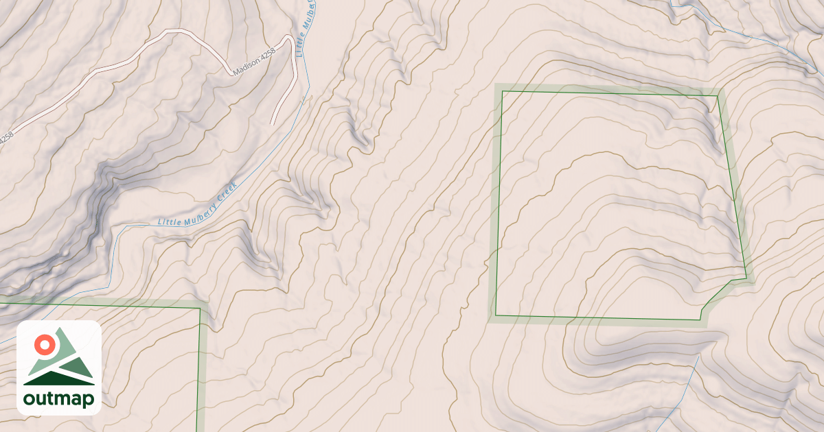 Map of USFS National Forest System Roads {5448DCA8-935D-4BDE-BCC5-E4B9DA410158}