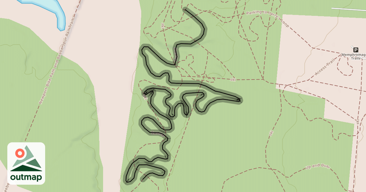 Map of Swamp