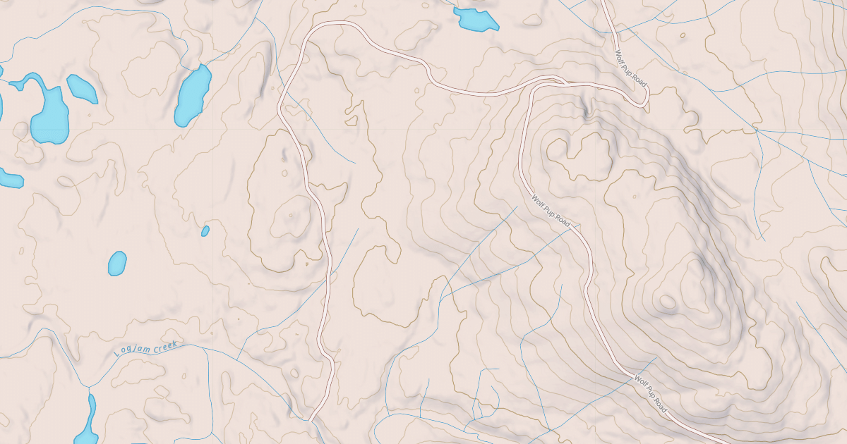 Map preview of USFS Motor Vehicle Use Map Roads {3582988C-5282-4076-AE5C-D2B60F269621}