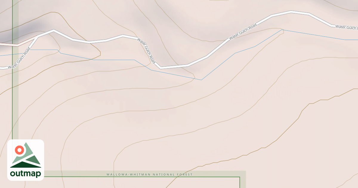 Map of USFS National Forest System Roads {1F43201E-9702-40AD-9154-A454F58C64E3}