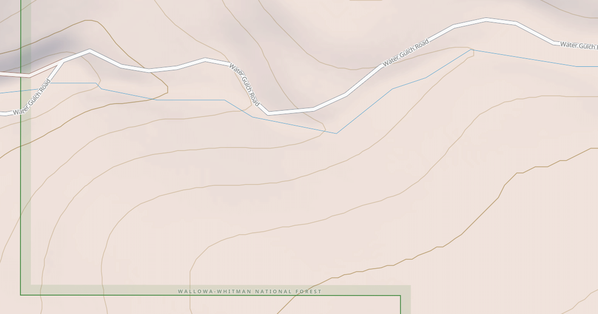Map preview of USFS National Forest System Roads {1F43201E-9702-40AD-9154-A454F58C64E3}