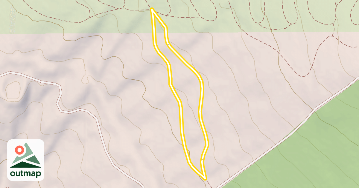 Map of Sunnyside