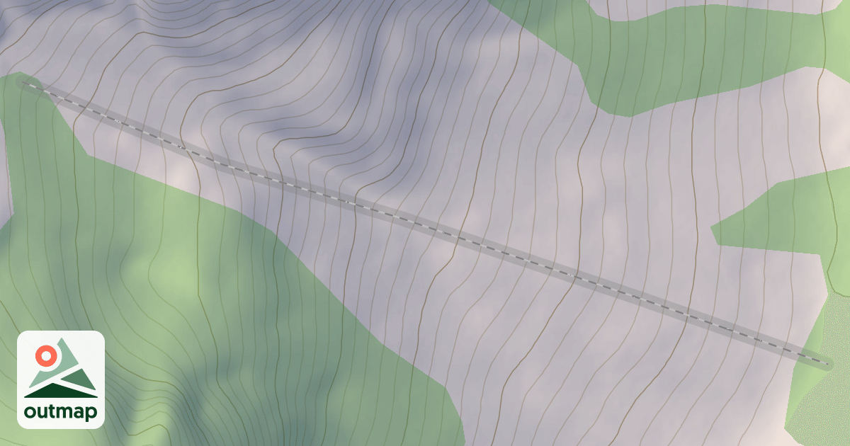Map of Birdy Fan
