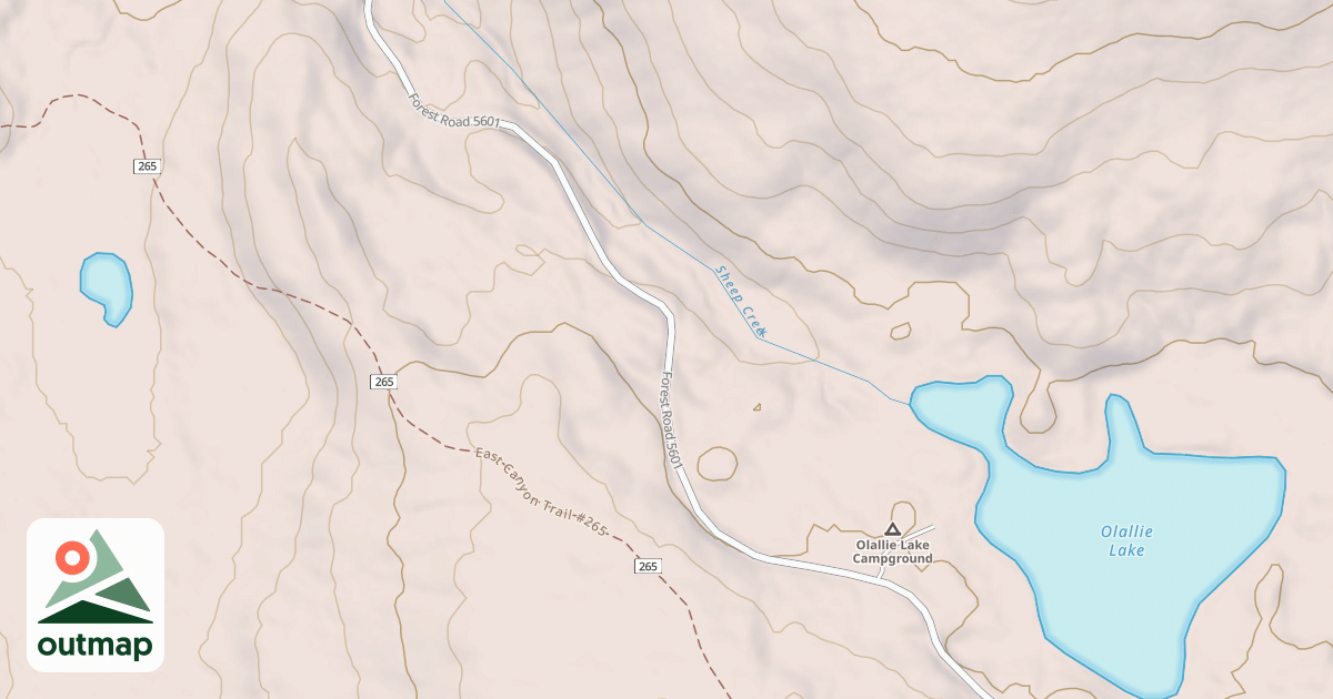 Map of ADAMS FORK