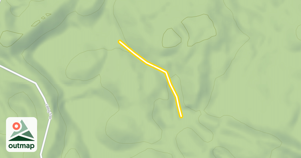 Map of Survivor