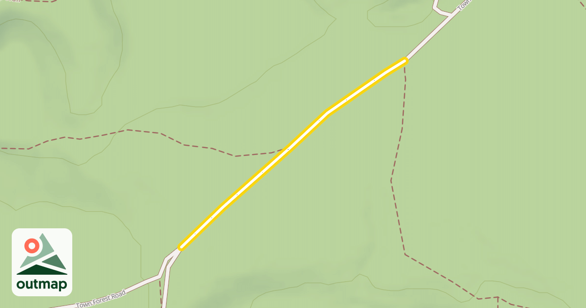 Map of Town Forest Road