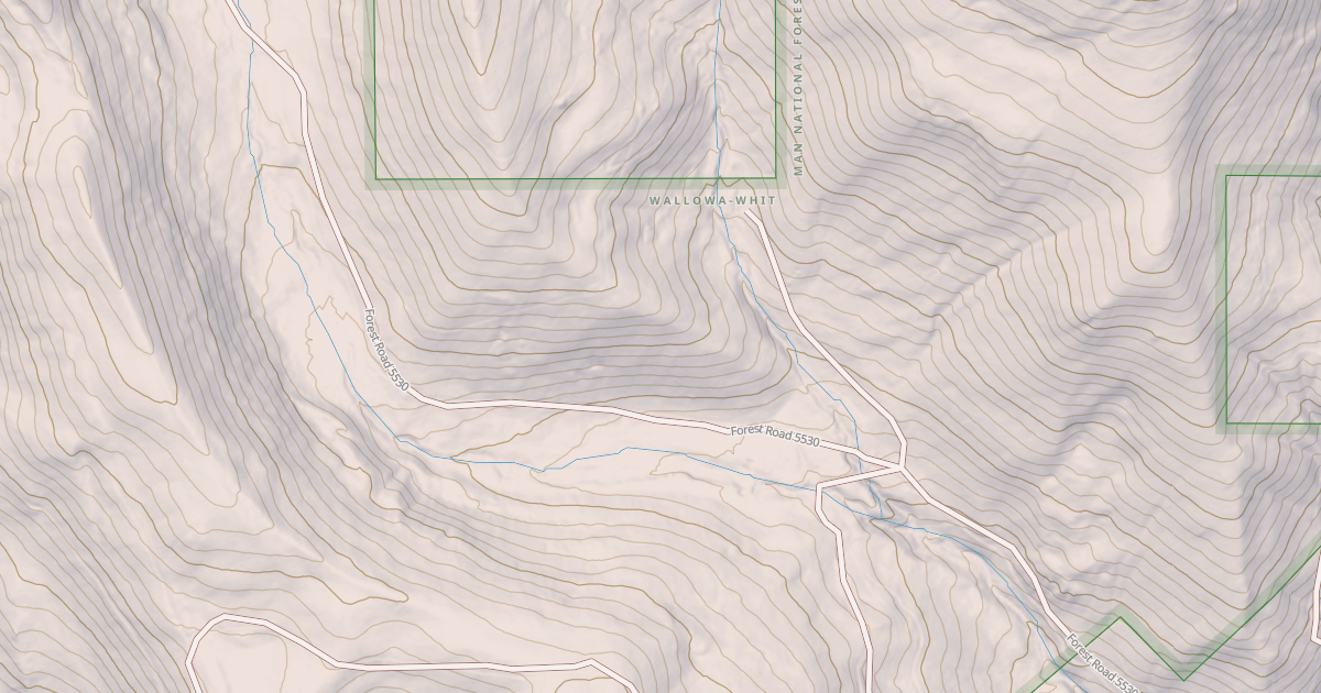 Map preview of USFS National Forest System Roads {31455326-A344-459E-811D-6BEF26EC03AA}