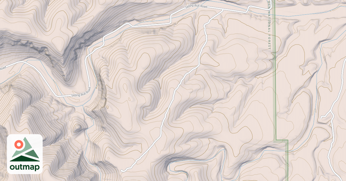 Map of USFS National Forest System Roads {1A5C9A7E-BAD2-49E7-8D87-EBE1FDB9B3B8}