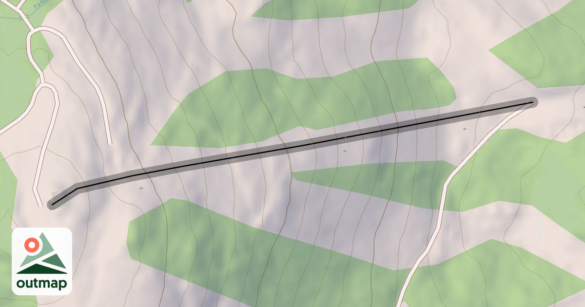 Map of Silver Fir Face