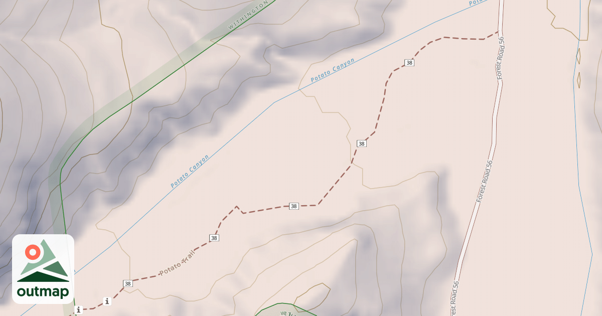 Map of USFS National Forest System Roads {67440F7B-DF9E-49A1-838B-D27A3BCD9B08}