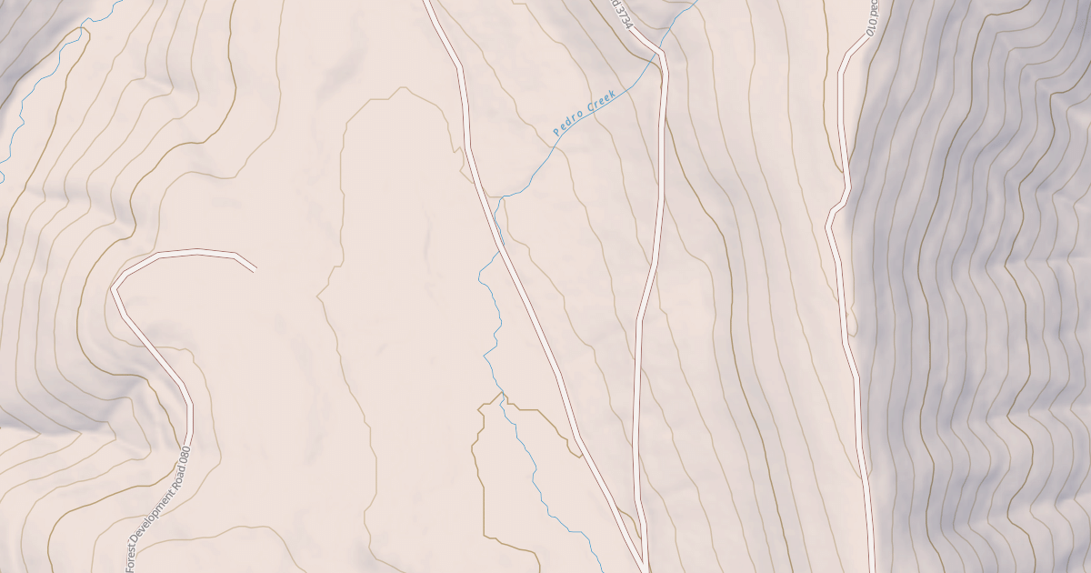 Map preview of USFS National Forest System Roads {5229E868-A435-4A44-8BBD-BC1B7B0E1AD8}