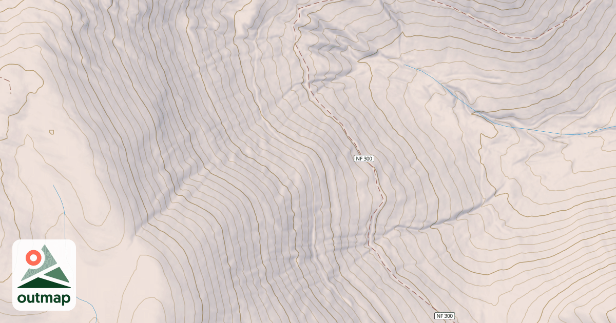 Map of BEA T.S. FY 92